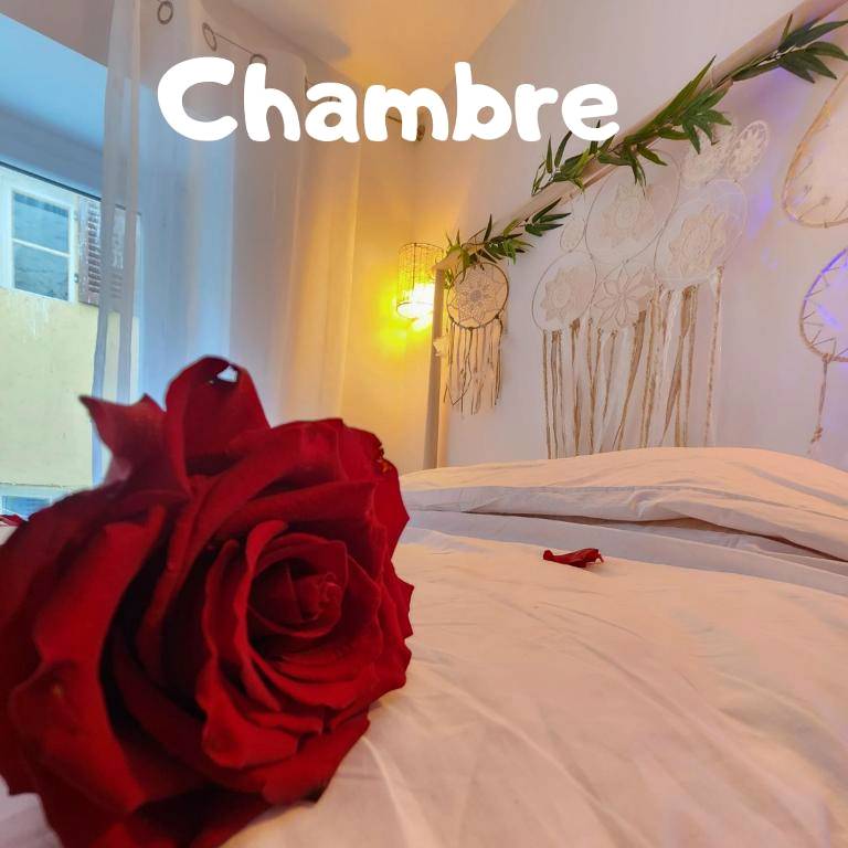 Photo du logement - Zen room - Havre de paix - Hyères