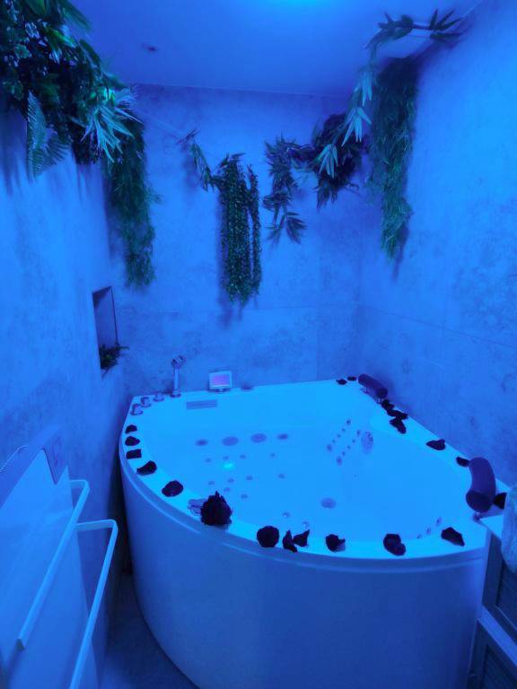 Photo du logement - Zen room - Havre de paix